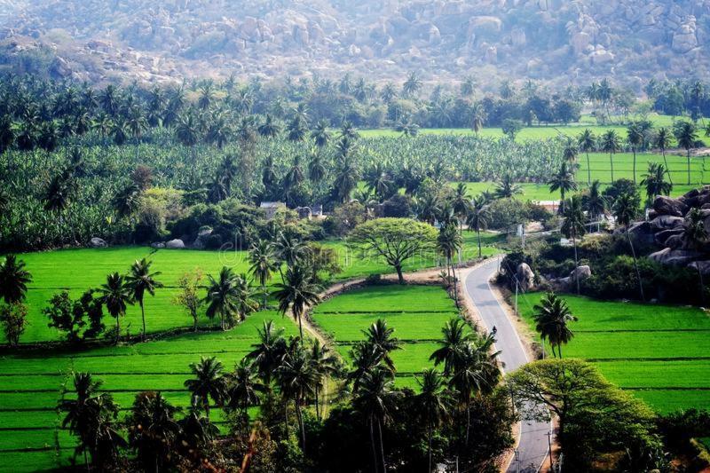 Lee Homestay Hampi Exteriör bild
